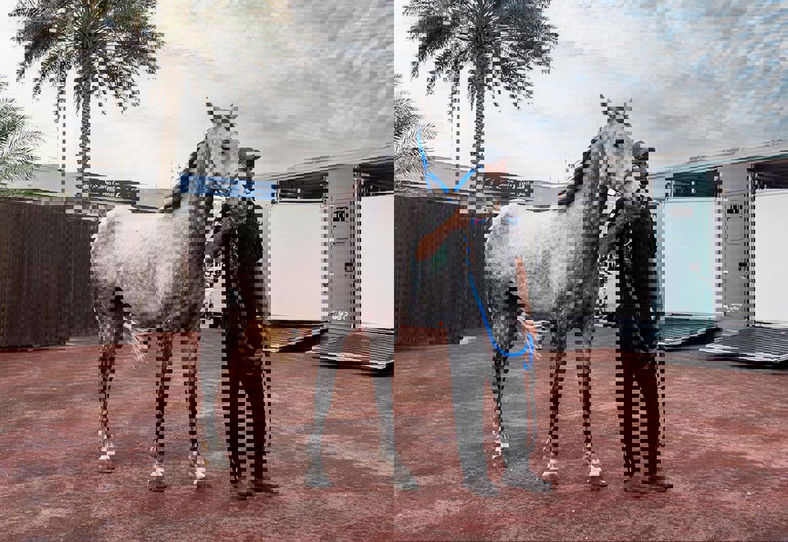 Cargo Services & facilities 2.jpg