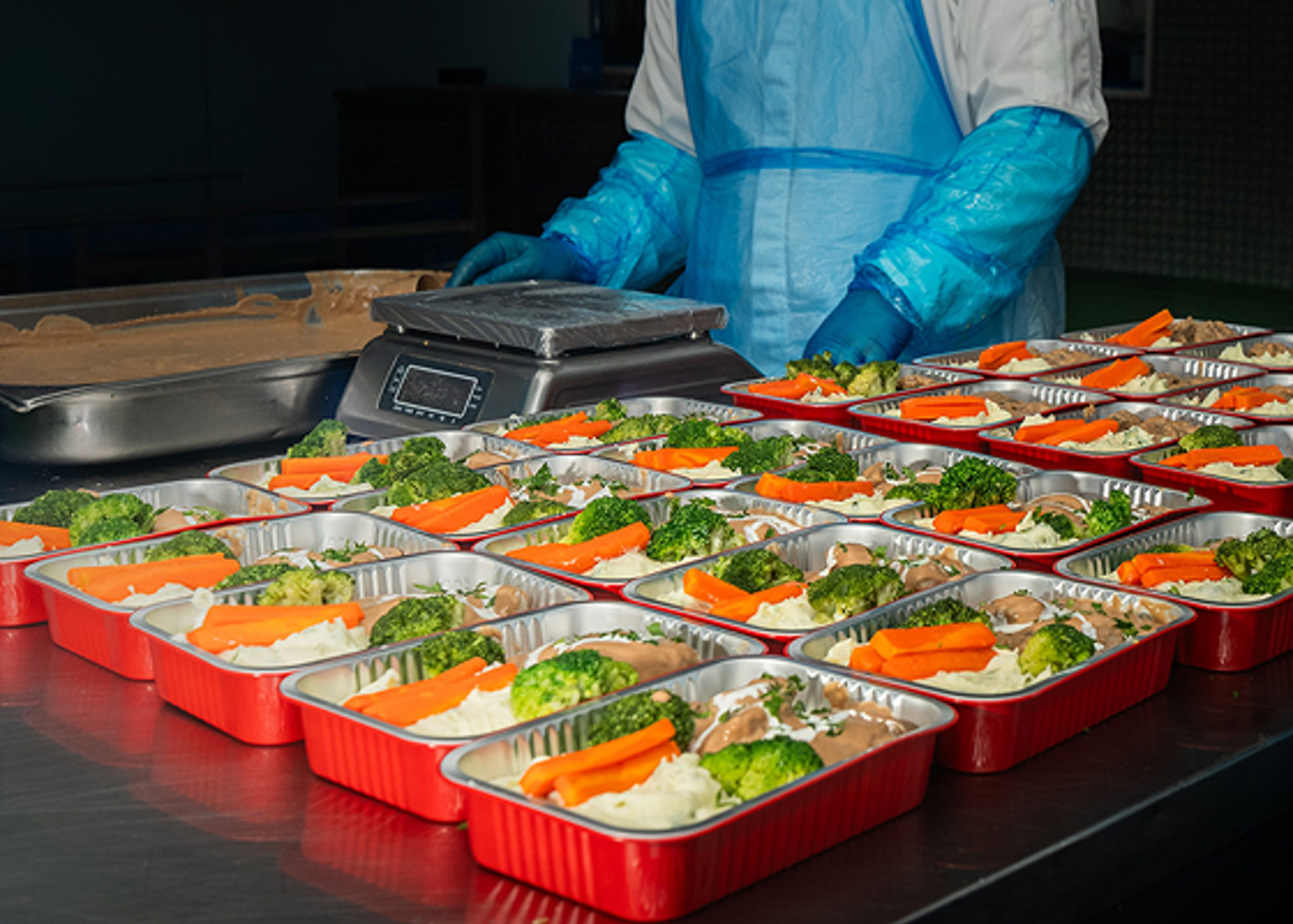 Alpha Catering 1.png