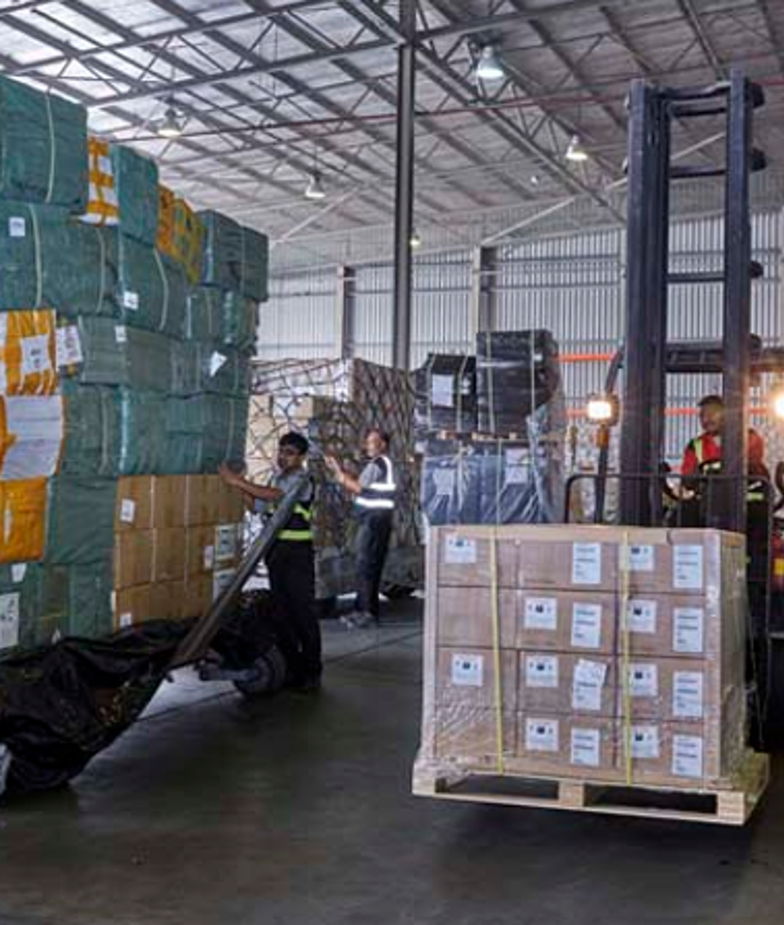 image - 2026-01-24T163357.124.png