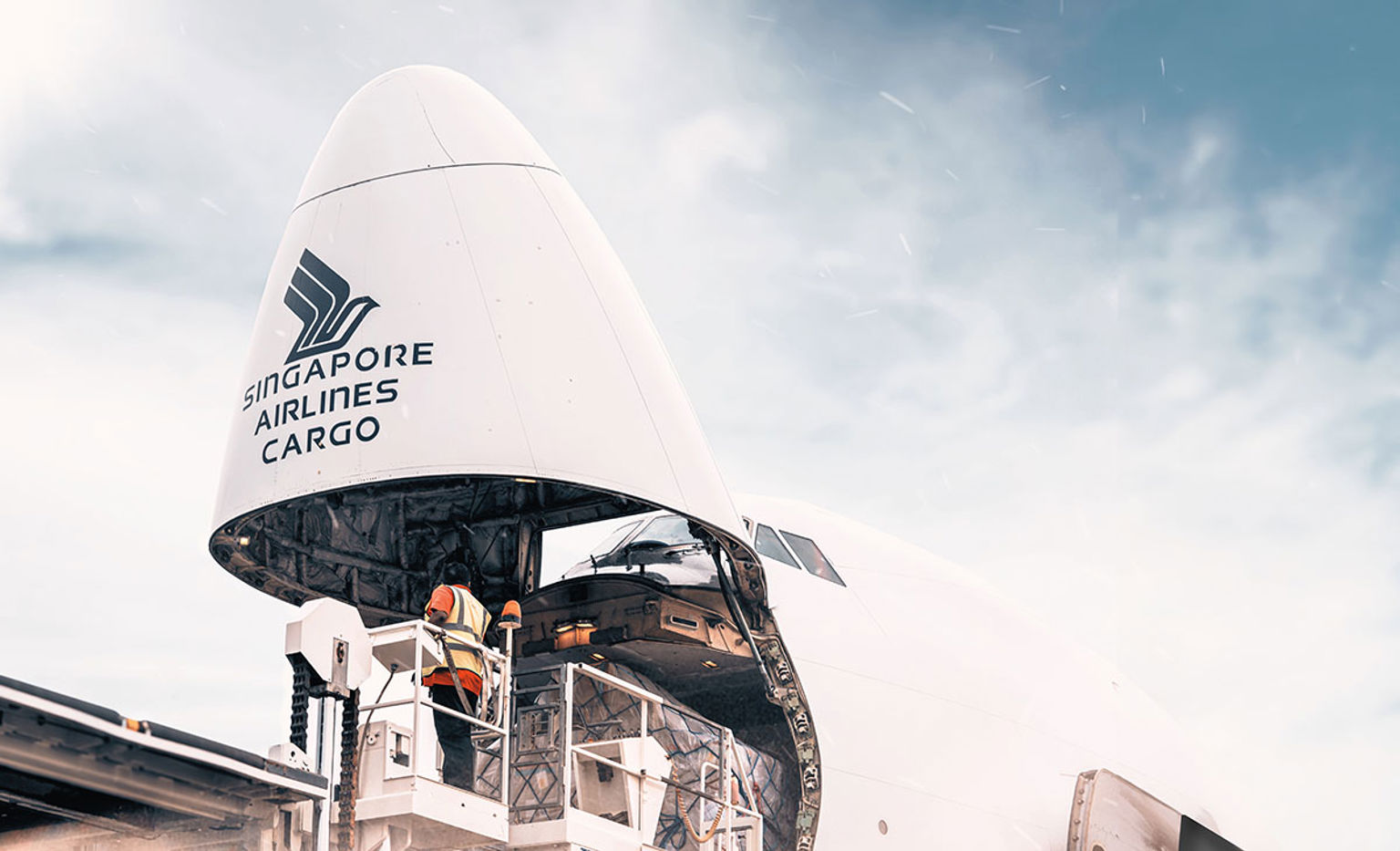 Cargo Services & facilities 3.jpg