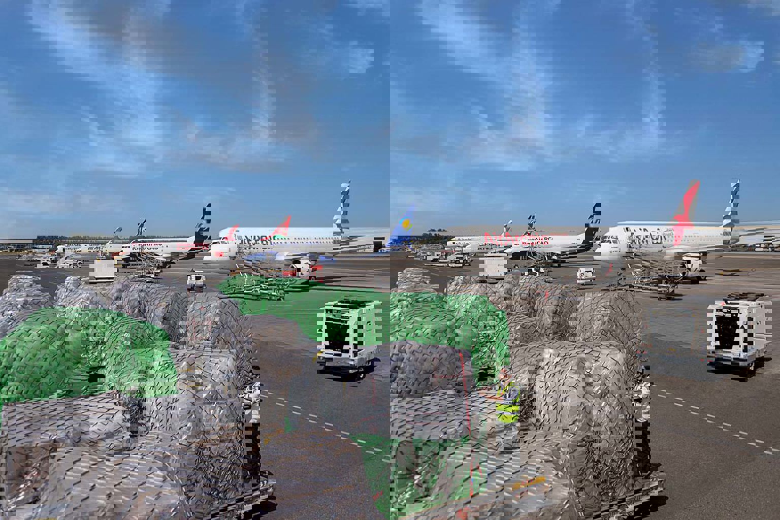 operational efficiency & quality.jpg