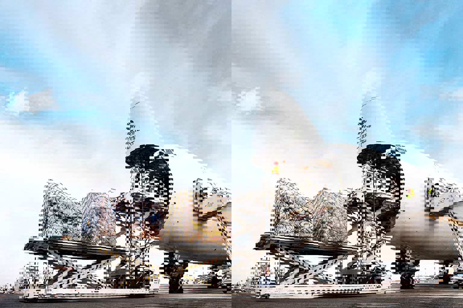 food import requirements.jpg